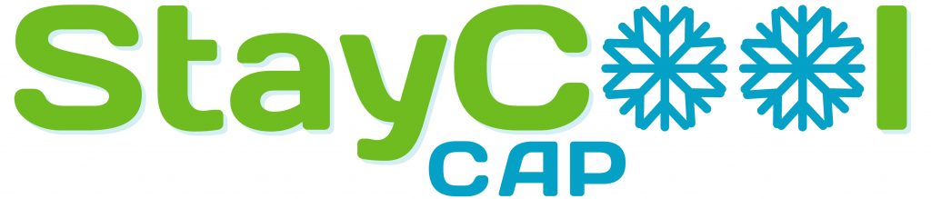 Staycool Brands Logo